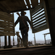 Illustration for article titled Frankenreview: Red Dead Redemption